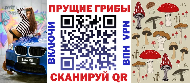 Галлюциногенные грибы Magic Shrooms  наркота  Новосиль 
